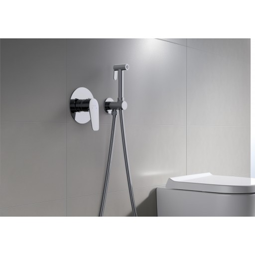 Смеситель с гигиеническим душем AQUATEK Бетта AQ1119CR встраиваемый хром